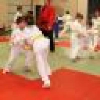 Budo